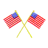 AMERICAN FLAGS