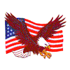 EAGLE AND AMERICAN FLAG