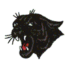 PANTHER HEAD