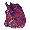ARABIAN HORSE STLLR(3.4.5)FILE#28