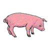 PIG PROFILE