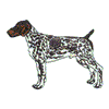 GERMAN SHORTHAIRED