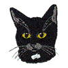 BLACK CAT HEAD