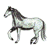 WHITE ANDALUSIAN HORSE