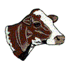 RED AND WHITE COW