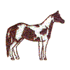 TOBIANO PAINT HORSE