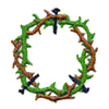 CROWN OF THORNS