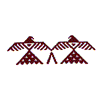 AZTEC THUNDERBIRDS