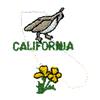 CALIFORNIA OUTLINE & BIRD