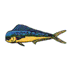 DOLPHIN FISH