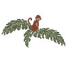 MONKEY ON TOP OF LEAVES