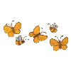 BUTTERFLIES AND BEES