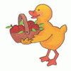 DUCK WITH BASKET OF APPLES