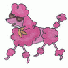 POODLE WITH SUN GLASSES