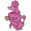 POODLE WITH A TEA CUP