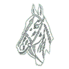HORSE HEAD OUTLINE