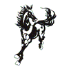 MUSTANG OUTLINE