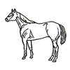 HORSE OUTLINE