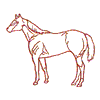 LARGE HORSE OUTLINE
