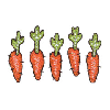 QUILTED CARROTS