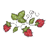 QUILTED STRAWBERRIES