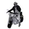 MOTORCYCLE RIDER