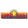 SUMMER SCHOOL