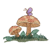 MUSHROOMS WITH A BUTTERFLY