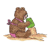 BEAR IN THE SAND