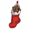 PUPPY IN CHRISTMAS STOCKING