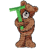 TEDDY BEAR T