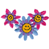 SMILEY FLOWERS
