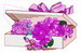 Box Of Violets Lg