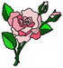 Rose6LF