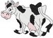Lg. Swayback Cow