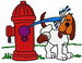Dog And Fire Hydrant