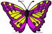 Butterfly 32