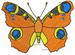 Butterfly 54