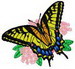 Butterfly89221