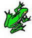 Frog- 4