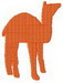 camel1