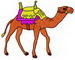 Nat Camel 1