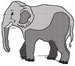 Elephant1212