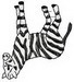 Zebra011