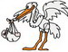 Cg-Stork