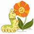 Flower & Caterpillar