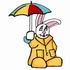 Bunny Raincoat
