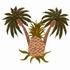 Palms & Pineapple