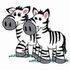 Mr. & Mrs. Zebra