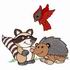 Raccoon & Hedgehog